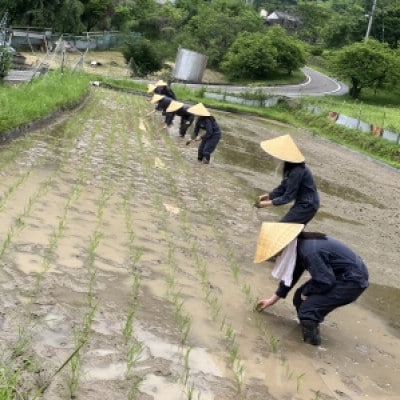 ノンアルコール　甘酒