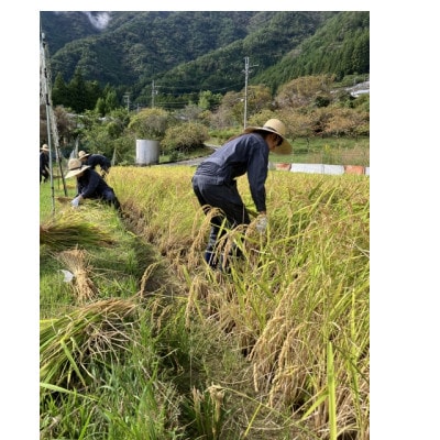 ノンアルコール　甘酒
