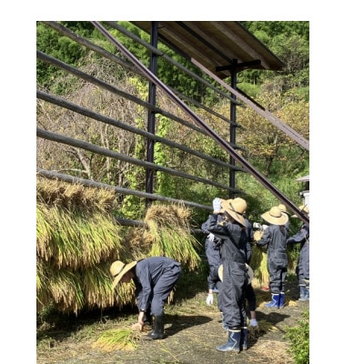 ノンアルコール　甘酒