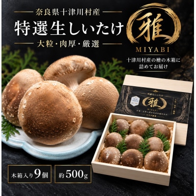 【大粒・肉厚】特選生しいたけ「雅」木箱入り9個 約500g 奈良県十津川村産