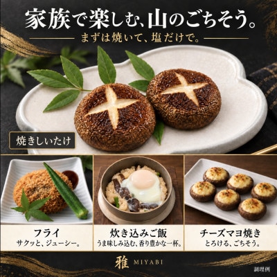 【大粒・肉厚】特選生しいたけ「雅」木箱入り9個 約500g 奈良県十津川村産