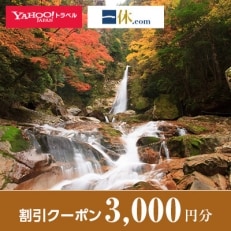 【奈良県十津川村】一休.com・Yahoo!トラベル割引クーポン(3,000円分)