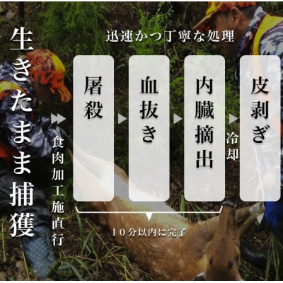 贅沢鹿ジャーキー