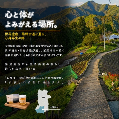【非加熱】山蜜(奈良県十津川村産)百花はちみつ 70g