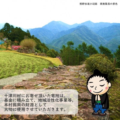 【返礼品なし】十津川村応援寄付　1,000円