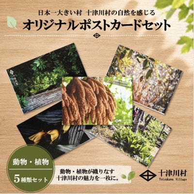 【ふるさと納税限定】十津川村風景ポストカードセット 5枚入り　動物・植物