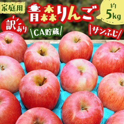 青森りんご 家庭用 訳あり CA貯蔵 サンふじ 約 5kg