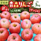 青森りんご 家庭用 訳あり CA貯蔵 サンふじ 約 3kg