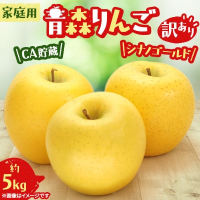 青森りんご 家庭用 訳あり CA貯蔵 シナノゴールド 約 5kg