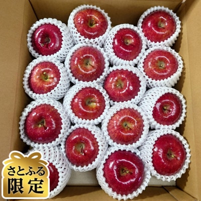 【さとふる限定】青森県 鶴田産 りんご サンふじ 贈答規格 約5kg(15個前後)