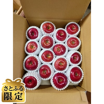 【さとふる限定】青森県 鶴田産 りんご サンふじ 贈答規格 約10kg(30個前後)