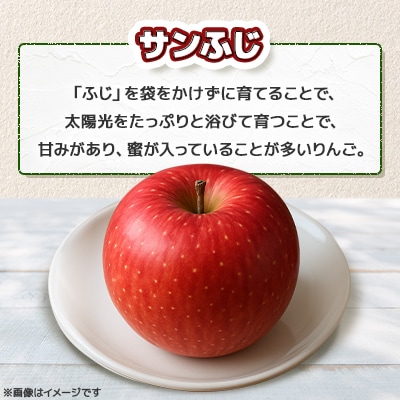 【さとふる限定】青森県 鶴田産 りんご サンふじ 贈答規格 約10kg(30個前後)