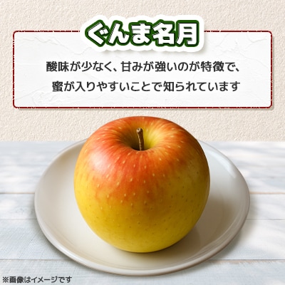 【さとふる限定】青森県 鶴田産 りんご ぐんま名月 贈答規格 約10kg(30個前後)