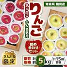 【さとふる限定】青森県産 りんご サンふじ・ぐんま名月 詰め合わせセット 贈答約5kg(15個前後)