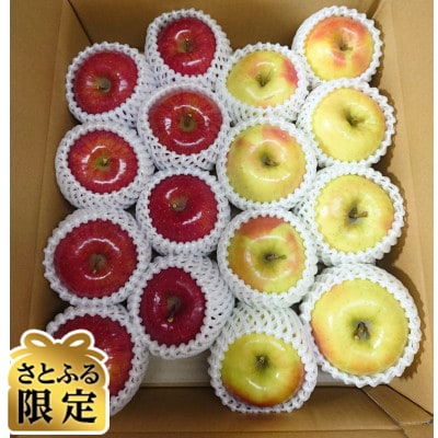 【さとふる限定】青森県産 りんご サンふじ・ぐんま名月 詰め合わせセット 贈答約5kg(15個前後)