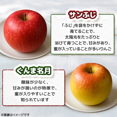 【さとふる限定】青森県産 りんご サンふじ・ぐんま名月詰め合わせセット 贈答約10kg(30個前後)