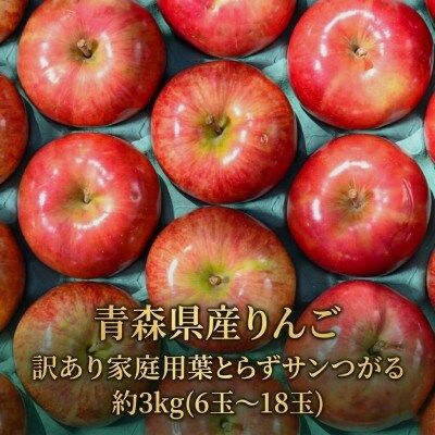 【26年9月から順次発送】平均糖度12度以上! 葉とらずサンつがる 約3kg 訳あり クール便