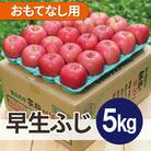 【2025年10月発送予定】平均糖度12度以上! 早生ふじ 約5kg おもてなし用