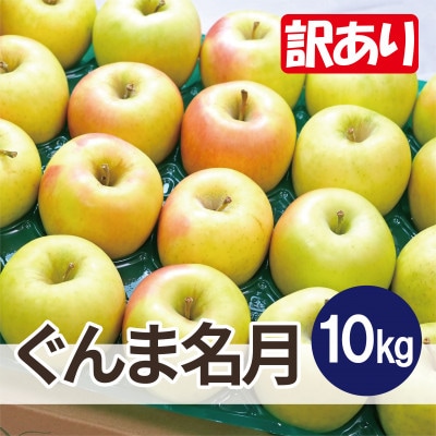 【25年11月より順次発送】平均糖度13度以上! ぐんま名月 約10kg 訳あり
