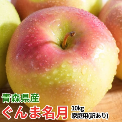 【26年11月から順次発送】平均糖度13度以上! ぐんま名月 約10kg 訳あり 青森 りんご