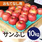 【26年4月出荷予定】平均糖度13度以上! サンふじ 約10kg おもてなし用 CA貯蔵 クール便