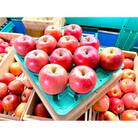 【2025年12月発送予定】平均糖度13度以上! 葉とらずサンふじ 約3kg 訳あり