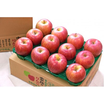 【26年11月から順次発送】糖度13度以上保証!シナノスイート約3kg(6～18玉)訳あり 青森県産