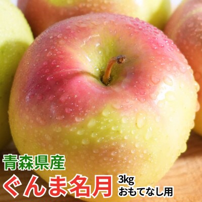 【26年11月から順次発送】糖度13度以上保証!ぐんま名月おもてなし用約3kg(6～18玉)