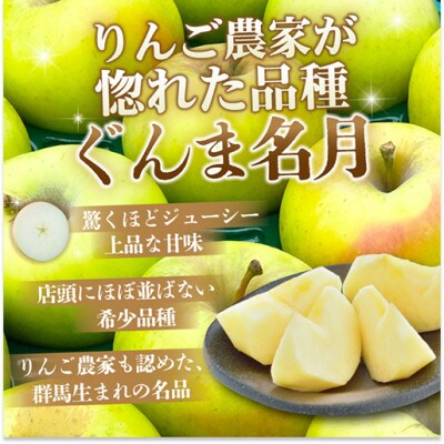 【26年11月から順次発送】糖度13度以上保証!ぐんま名月おもてなし用約3kg(6～18玉)