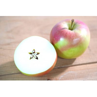 【2025年12月発送予定】糖度13度以上保証!ぐんま名月約3kg(6～18玉)訳あり