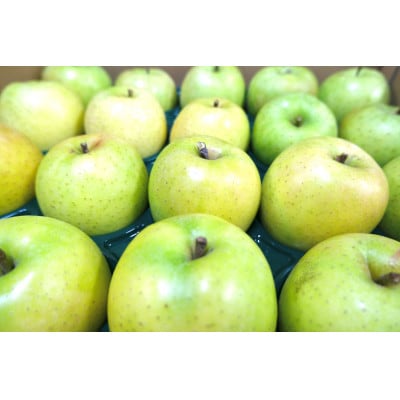 【26年2月出荷予定】平均糖度13度以上! 王林 約5kg 訳あり