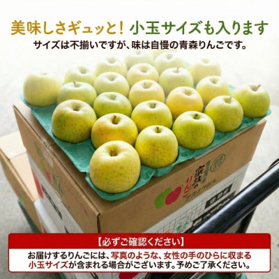 【26年2月出荷予定】平均糖度13度以上! 王林 約10kg 訳あり
