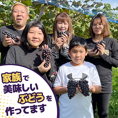 青森県鶴田町　完熟スチューベン至福のストレートジュース1000ml&濃厚飲むスチューベンジュレ3個