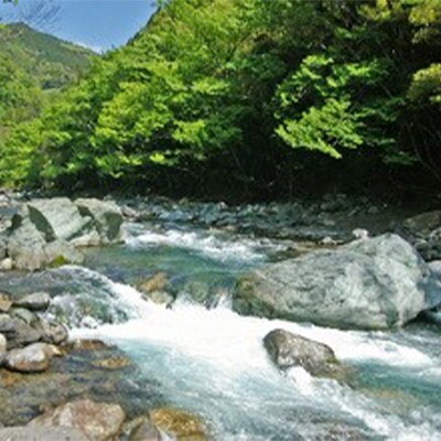 定期便 【2回配送】 秘境しいば山の水「母ちゃ~ん水」 非加熱 濾過 超軟水 【合計32L】