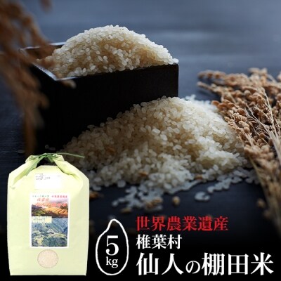 仙人の棚田米【5kg】椎葉産 | ふるさと納税のお礼品