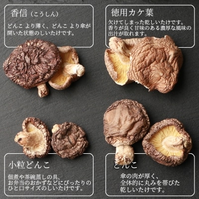 原木しいたけ 4種 食べ比べセット 【椎葉村産】 【どんこ 香信 小粒どんこ 徳用カケ葉】 椎茸