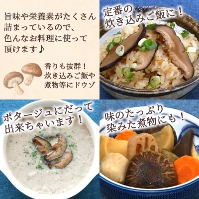 原木しいたけ 4種 食べ比べセット 【椎葉村産】 【どんこ 香信 小粒どんこ 徳用カケ葉】 椎茸