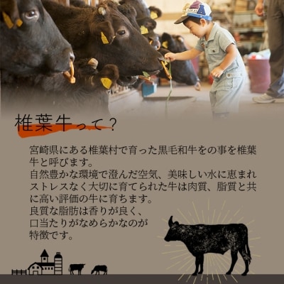 宮崎県産 椎葉牛 サーロインステーキ【200g】TK-25