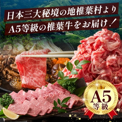 宮崎県産 椎葉牛 ももスライス【500g】TK-27