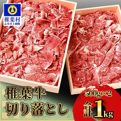 宮崎県産 椎葉牛 切り落とし【1kg】TK-29