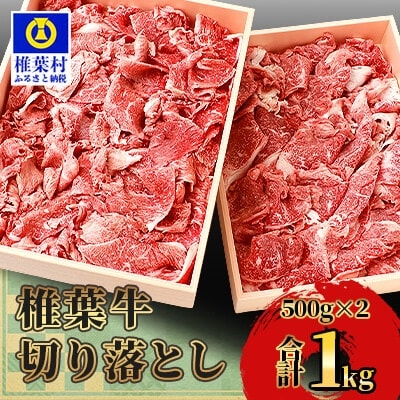 宮崎県産 椎葉牛 切り落とし【1kg】TK-29 牛肉 薄切り 和牛切り落とし 切り落とし肉
