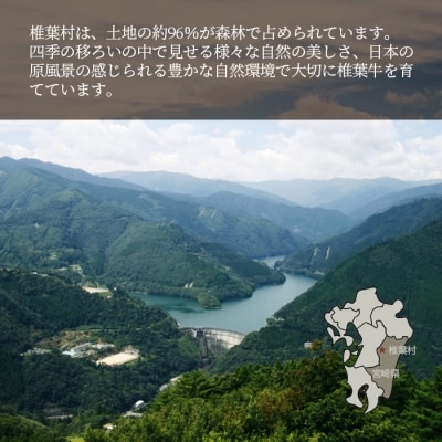 宮崎県産 椎葉牛 切り落とし【2kg】TK-30