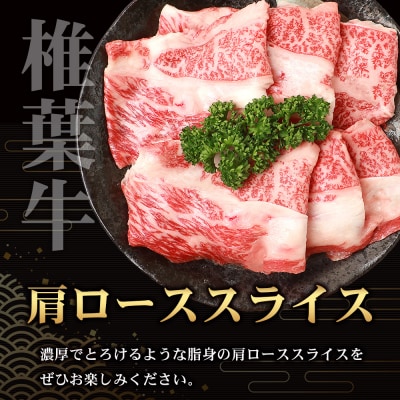 宮崎県産 椎葉牛 肩ローススライス【400g】TK-31