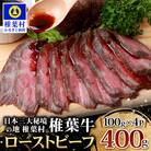 宮崎県産 椎葉牛 ローストビーフブロック【400g】お試しソース付き TK-34