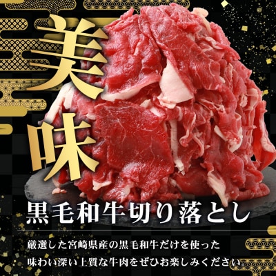 【令和7年9月30日まで受付!】宮崎県産 和牛 切り落とし【900g】TK-35