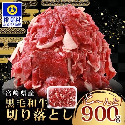 【令和7年9月30日まで受付!】宮崎県産 和牛 切り落とし【900g】TK-35