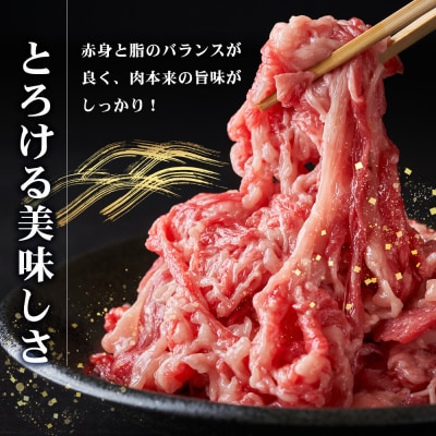 【令和7年9月30日まで受付!】宮崎県産 和牛 切り落とし【900g】TK-35