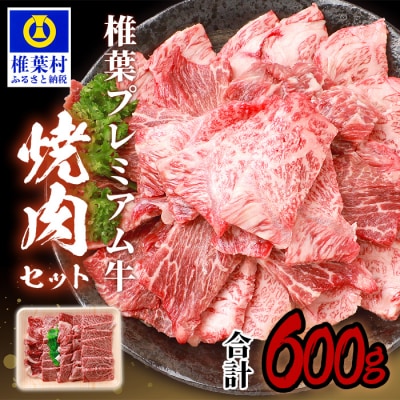 宮崎県産 椎葉プレミアム牛 焼肉セット【600g】TK-40