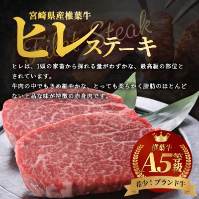 宮崎県産 椎葉牛 ヒレ肉 【480g】お試しステーキソース付き TK-24
