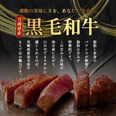 【令和7年9月30日まで受付】 宮崎県産 和牛 ヒレ 360g お試しステーキソース付 TK-39
